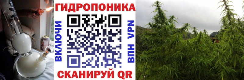 Купить закладки  Белый  Бошки марихуана AK-47 